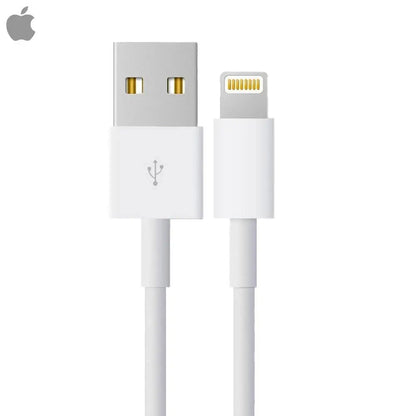 Câble Data USB vers Lightning Apple 4Q2E2ZM/A Bulk Blanc