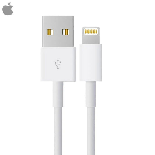 Câble Data USB vers Lightning Apple 4Q2E2ZM/A Bulk Blanc