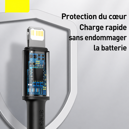Câble de données pour téléphone portable à charge rapide PD